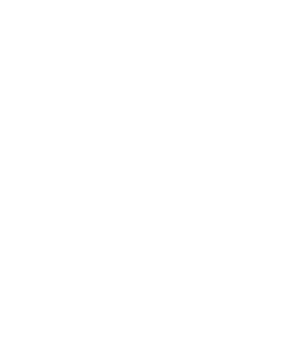 Polaris Logo White